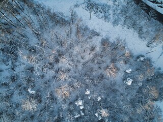 4k video footage made by a drone of a pine forest covered with snow