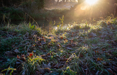 Foggy Sunrise at Irish Canal