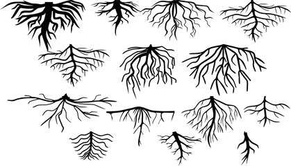 Set of black silhouettes of different types of root systems isolated on white background - obrazy, fototapety, plakaty