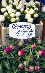 Peonies for sale at flower stall in Paris, France, 2019. - 402907710
