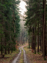 Countryside road in Sudetes mountains in Poland