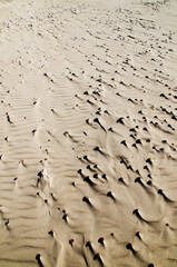 3D effect on the sand, Moving dunes in Slowinski National Park