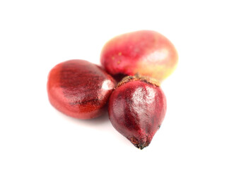 Macro of Dry Sumac Berry Seeds (Rhus). Isolated on White Background.