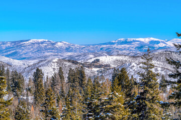 Lush evergreen trees with houses sitting on top of snowy mountain background