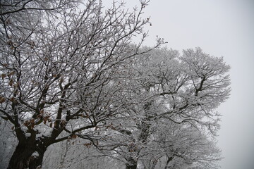 Schneelandschaften