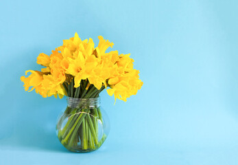 Beautiful bouquet of spring yellow narcisus flowers or daffodils in transparent glass vase.