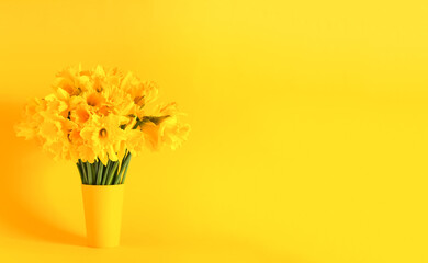 Floral composition in yellow colors. Beautiful bouquet of spring narcissus flowers or daffodils
