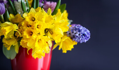 Bright bouquet of spring flowers. Narcisus, hyacinth and tulips close up.