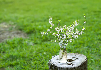 Spring cherry bouquet in a glass vase outdoors.