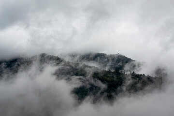 Niebla en la Sierra Mazateca. 