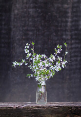 Spring cherry bouquet in a glass vase outdoors.