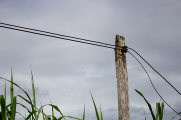 Wooden wire post delivering power to a farm