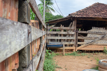 Plastic drinking fountain used by cattle