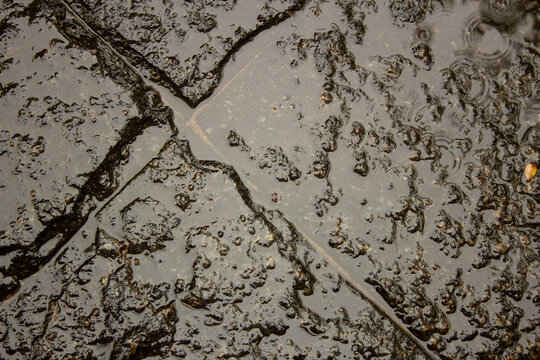 Wet stone tiles during a rainy day