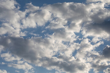 Fototapeta na wymiar Cloudscape full of white fluffy cummulus clouds