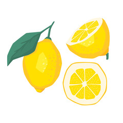 Lemon slices. Fresh citrus, half sliced lemons and chopped lemon. Cut lemons fruit slice and zest for lemonade juice. Cartoon vector illustration Isolated on white background