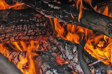 Orange and black - texture of burnt wood, shallow depth of field. Closeup of burning firewood with charcoal, hot ashes and cinder. Fire effects for wood. Natural horror background
