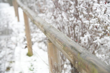 Schneelandschaften