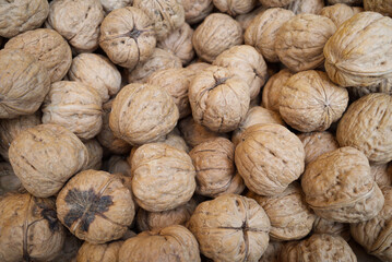 Pile of English or Black walnuts.