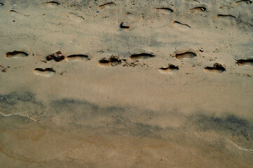 Fototapeta na wymiar Single track of footsteps