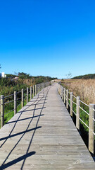 The mouth and estuary of Neiva River in Antas, Esposende, Portugal. The Ecovia Litoral Norte (North Coast Ecoway) wooden boardwalk.