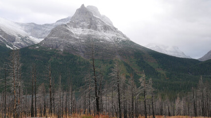 mt rainier national park