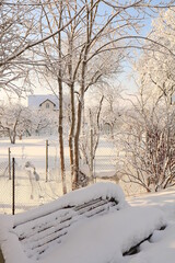 Russian nature in winter, Christmas background. After a snowfall, tree branches are covered with snow and sparkle in the sun, severe frost and low temperatures. This is a beautiful winter banner,
