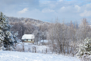 Naklejka premium Superb winter landscape with village house in the mountains. Snow-covered trees, branches in hoarfrost. Part of the Ukrainian Carpathians in Transcarpathia near Tyachiv.