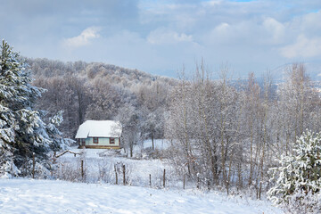 Superb winter landscape with village house in the mountains. Snow-covered trees, branches in hoarfrost. Part of the Ukrainian Carpathians in Transcarpathia near Tyachiv.