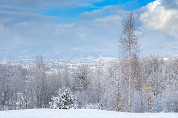 Superb winter landscape in the mountains in sunny weather. Snow-covered trees, branches in hoarfrost. Villages in the valley. Part of the Ukrainian Carpathians in Transcarpathia near Tyachiv.