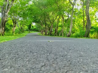 paved roads leading up the hill
