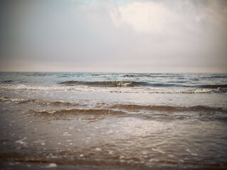 Yellow sand at the beach with seashells seawater nature 