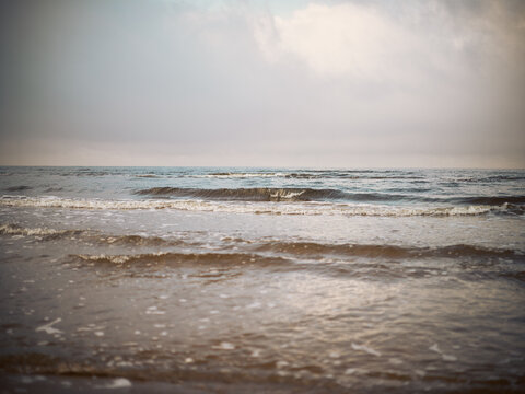 Yellow sand at the beach with seashells seawater nature 