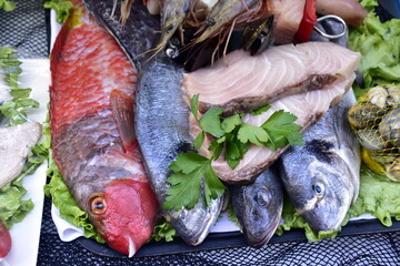 fish, seafood, gastronomy, Madeira island Ocean, Portugal, Funchal City © Albin Marciniak