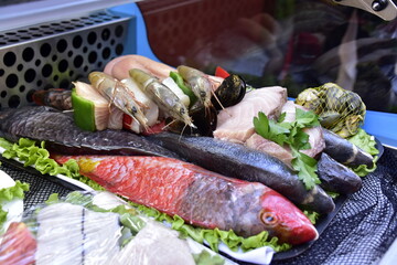 fish, seafood, gastronomy, Madeira island Ocean, Portugal, Funchal City