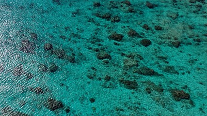 壁紙、珊瑚礁の水面、日本の沖縄、渡嘉敷島
ニモが住む海