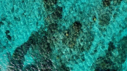 壁紙、珊瑚礁の水面、日本の沖縄、渡嘉敷島
ニモが住む海