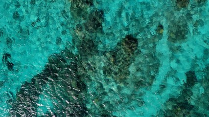 壁紙、珊瑚礁の水面、日本の沖縄、渡嘉敷島
ニモが住む海