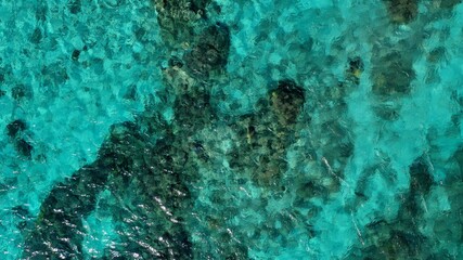 Fototapeta na wymiar 壁紙、珊瑚礁の水面、日本の沖縄、渡嘉敷島 ニモが住む海