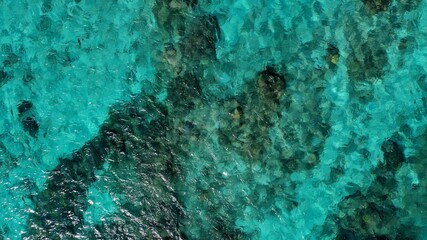 壁紙、珊瑚礁の水面、日本の沖縄、渡嘉敷島
ニモが住む海