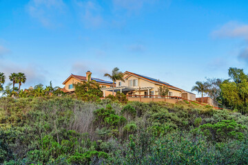 Fototapeta na wymiar Houses with blue sky background amid green tree foliage in San Diego California