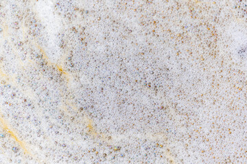 Lake Richmond is an an important ecosystem for thrombolites and waterbirds.