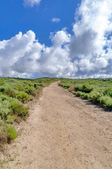 Fototapeta na wymiar Unpaved pathway road against clouds and blue sky in Crystal Cove State Park CA