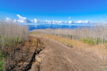 Dirt road with view of blue ocean and sky in Crystal Cove State Park California