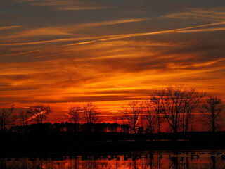 dramatic winter sunset over waterfowl pong on Chesapeake Bay