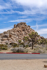 Joshua trees and amazing mountain of rocks in Joshua Tree California desert