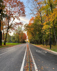 autumn in the park