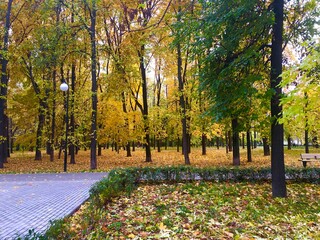 autumn in the park