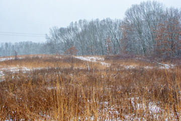 Beautiful snowy landscape seen while hiking. There is a fresh coat of bright white snow on the ground and a colorful plain of yellow and brown foliage on either side of a hiking path.