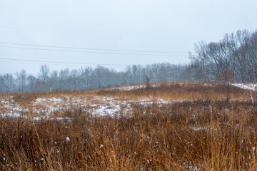 Beautiful snowy landscape seen while hiking. There is a fresh coat of bright white snow on the ground and a colorful plain of yellow and brown foliage on either side of a hiking path.